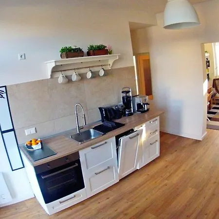 Ferienwohnung City-apartment Swifts *