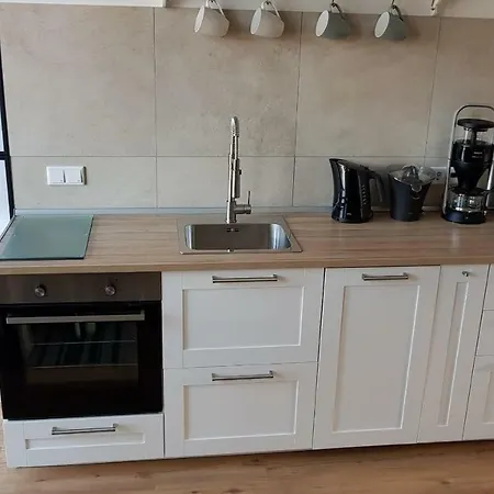 Ferienwohnung City-apartment Swifts דירה *