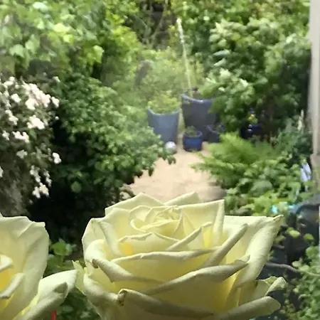 Ferienwohnung City-apartment Swifts דירה קרפלד