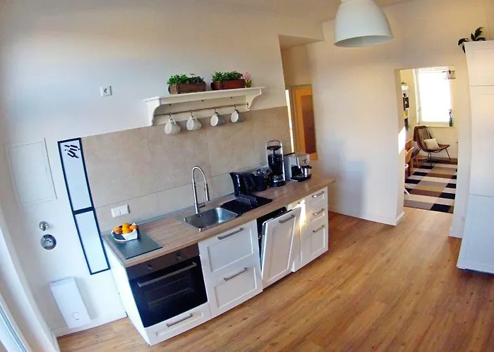 Ferienwohnung City-apartment Swifts *