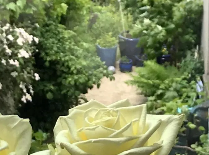 Ferienwohnung City-apartment Swifts Apartament Krefeld